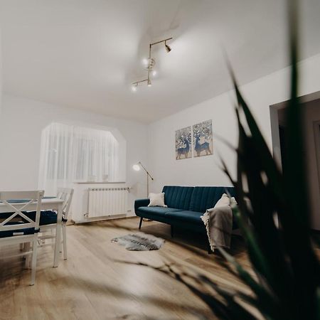 Apartamentul Albastru Vatra Dornei Exterior foto