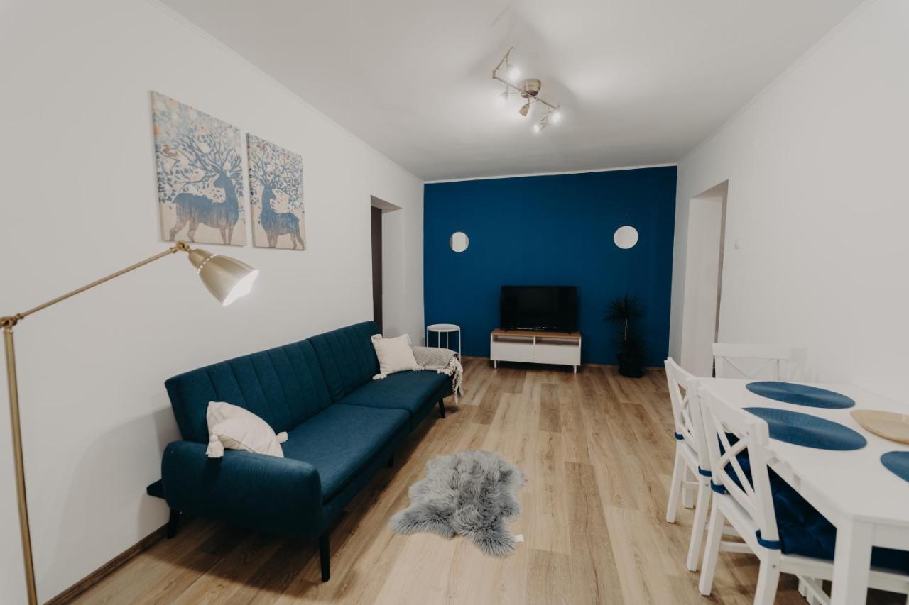 Apartamentul Albastru Vatra Dornei Exterior foto